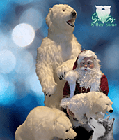 Polar Santa Feeding Bear Cubs